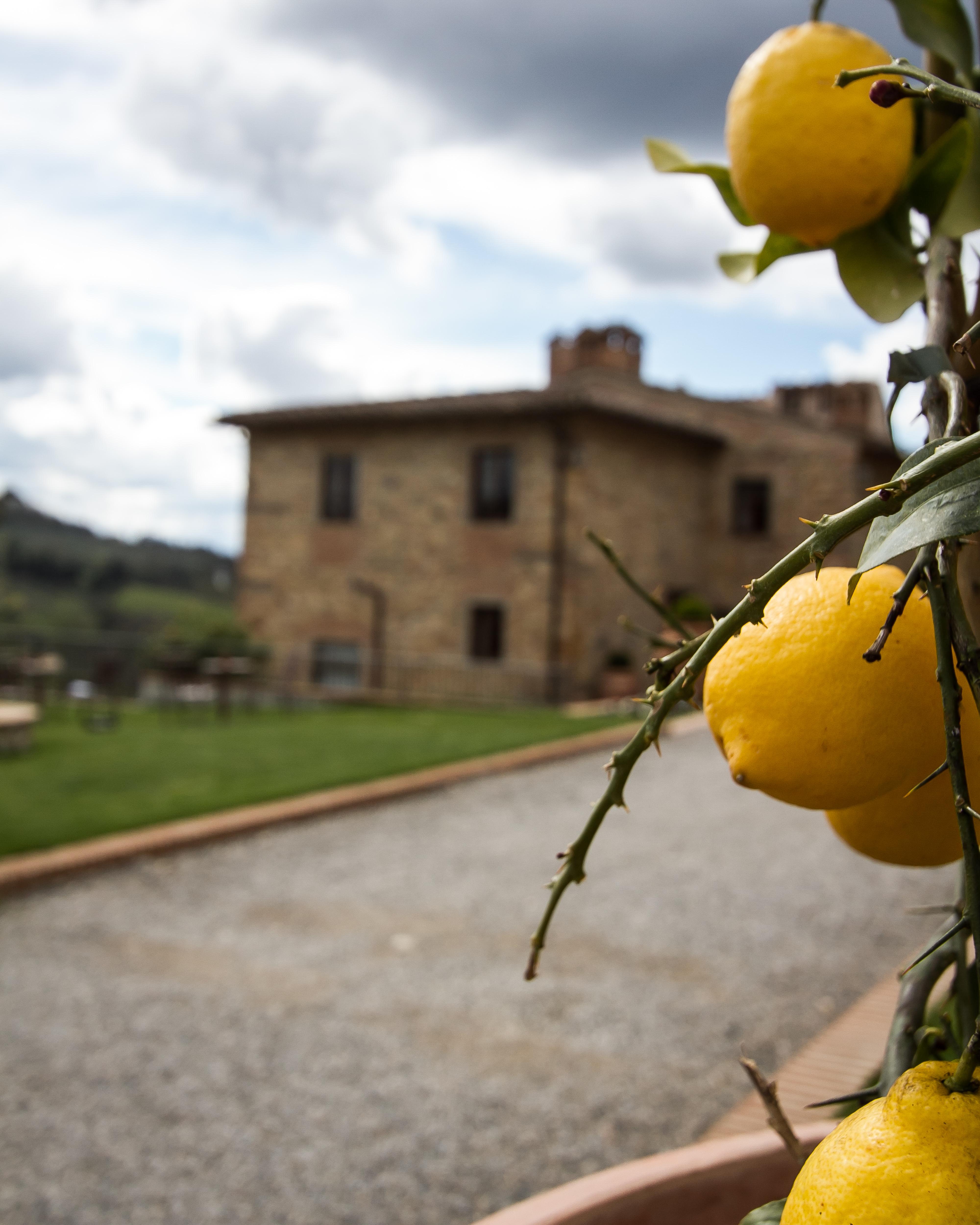 Relais Villa Olmo - Place Of Charme Impruneta Exterior foto